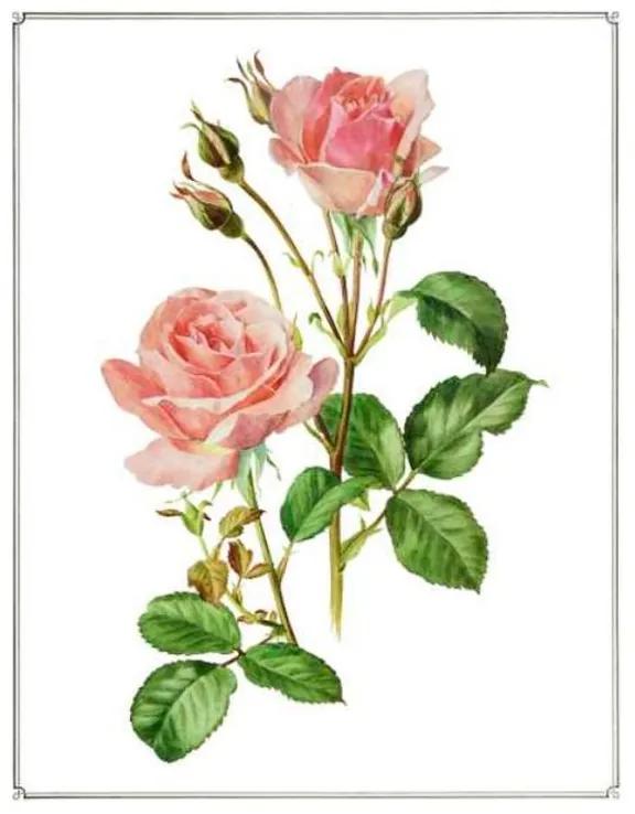 Quadro Decorativo Rosas - KF 49206 40x60 (Moldura 520)