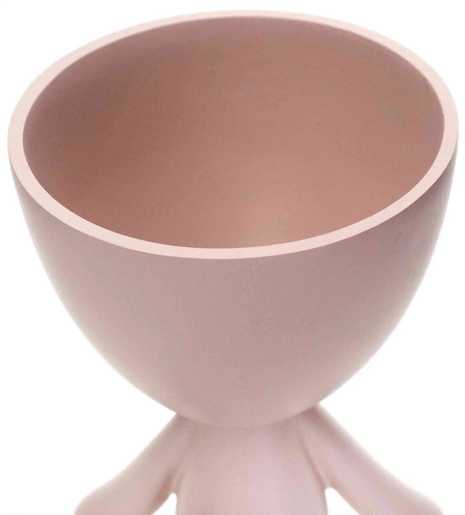 Vaso Decorativo Bob Robert Plant em Poliresina Rosa 14,5x11x12 cm - D'Rossi