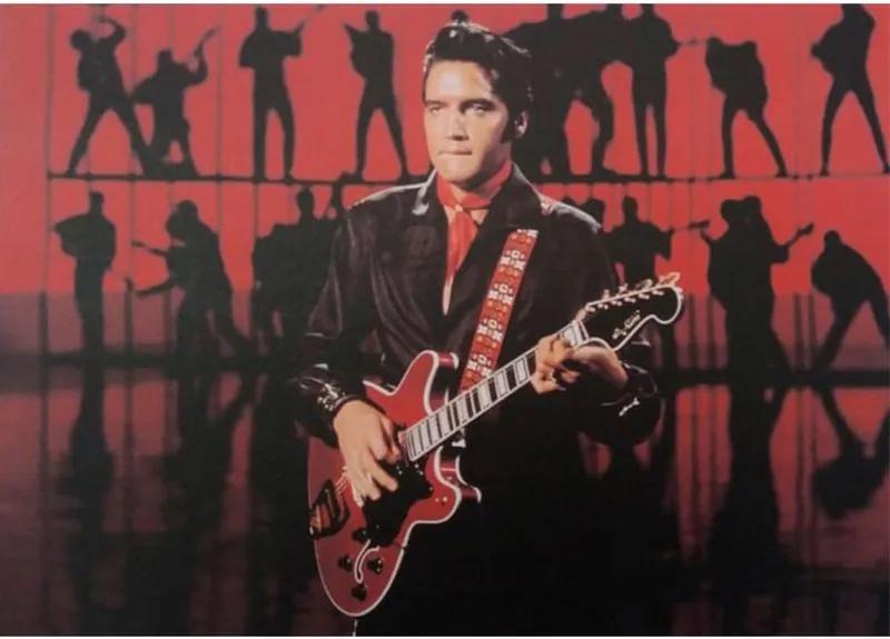 Quadro Tela Elvis Presley In Memphis