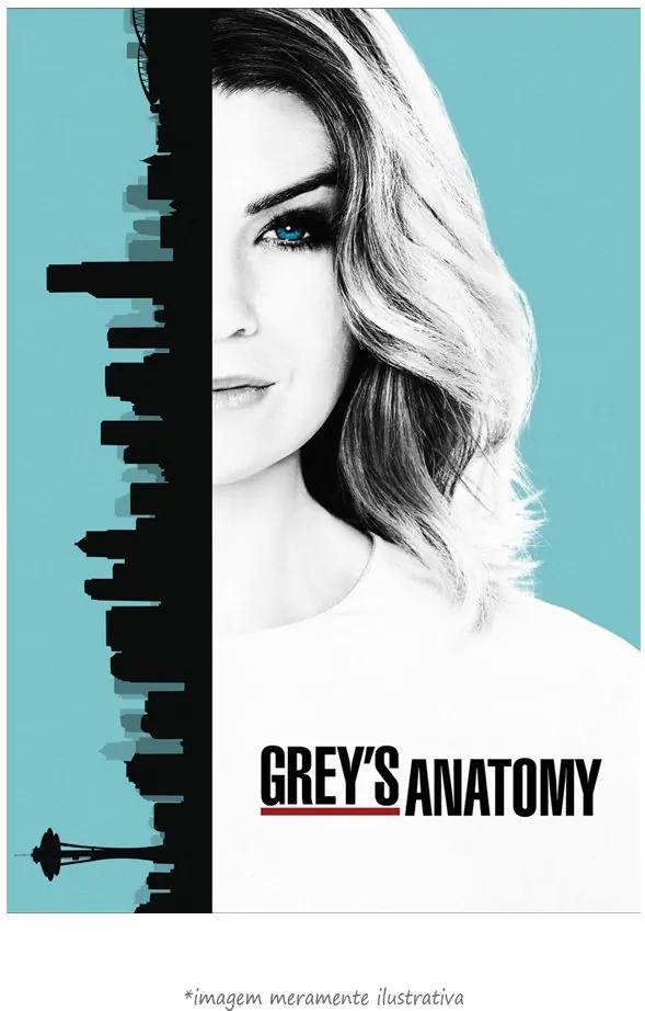 Poster Grey's Anatomy (20x30cm, Apenas Impressão)