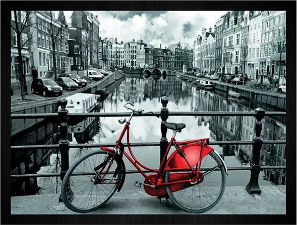Quadro Bicicleta Vermelha