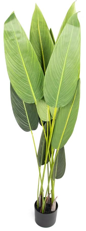 Planta Artificial Estrelícia Folhas com Pote X12 Verde 130 cm F04 - D'Rossii