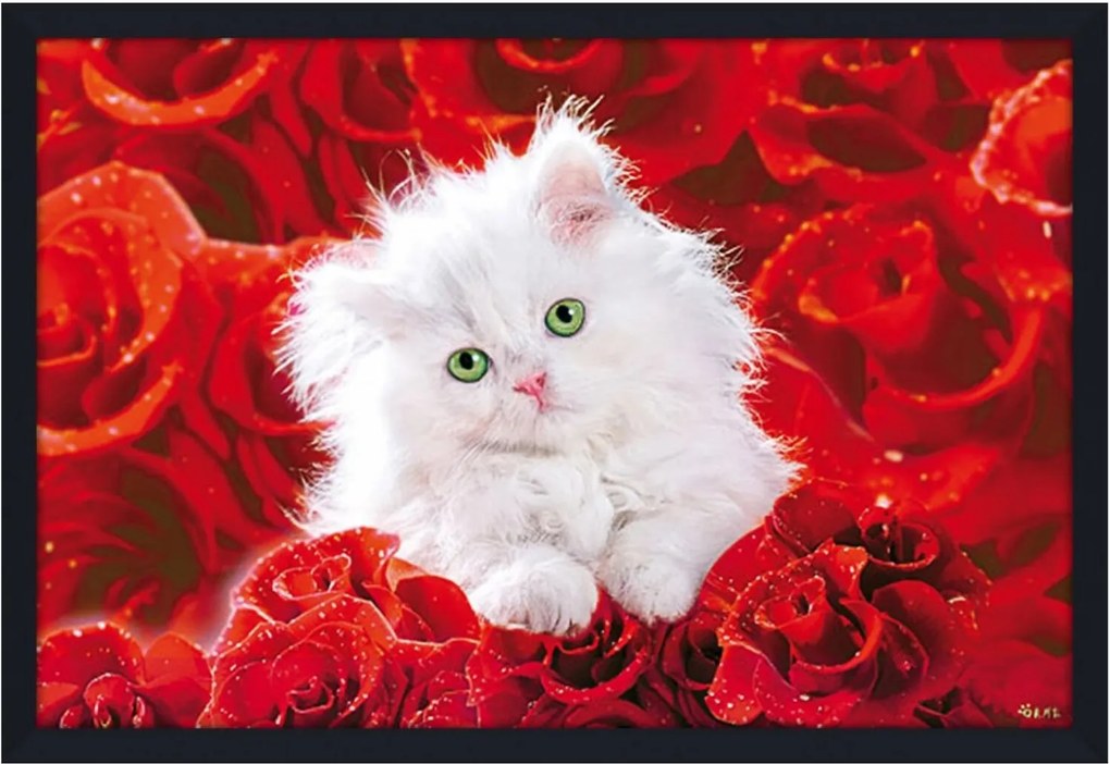 Quadro Decotativo Poster Gato Branco Filhote Sobre Rosas Vermelhas S/ Vidro 94x64cm