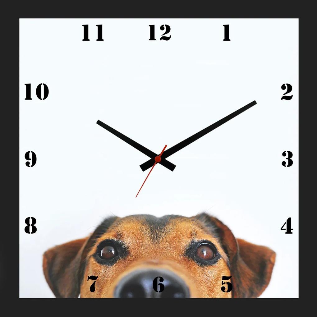 Relógio De Parede Personalizado Criativo Pet Cachorro Espiando 30x30cm
