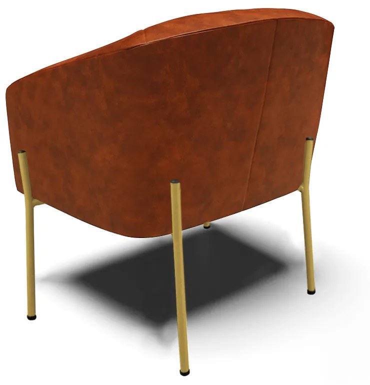Poltrona Decorativa Pé de Ferro Dourado Kit 2 Stella Sintético PU D03 - D'Rossi - Nozes