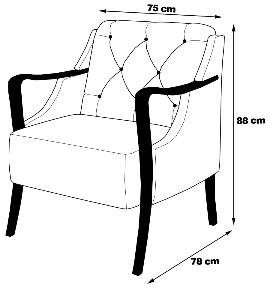 Kit 2 Poltronas Decorativas Braços em Madeira Hand PU Preto G45 - Gran Belo