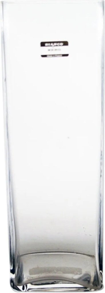 Vaso Bianco e Nero 30 X 10Cm Transparente