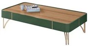 Mesa de Centro Para Sala Com Pés de Aço Alane H01 Verde Pistache/Freij