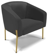 Poltrona Decorativa Pé de Ferro Dourado Stella Sintético D03 - D'Rossi - Preto