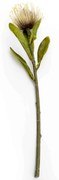 Haste de Flor Artificial Protea Creme Outono 41 cm - D'Rossi