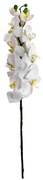 Flor Orquídea Phalaenopsis Artificial Branco 77 cm - D'Rossi