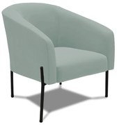 Poltrona Decorativa Pé de Ferro Preto Stella Cotelê Ext/Veludo D03 - D'Rossi - Menta