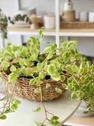Cesto Organic Seagrass M