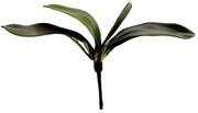 Folha Orquidea Artificial Verde 22 cm - D'Rossi