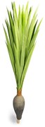 Planta Artificial Dracena Garrafa Real Toque X37 Verde 120 cm F04 - D'Rossi