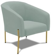 Poltrona Decorativa Pé de Ferro Dourado Stella Cotelê Ext/Veludo D03 - D'Rossi - Menta