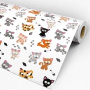 Papel de parede adesivo animal gatinhos