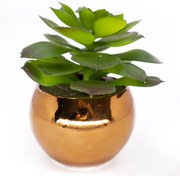 Vaso Decorativo Dourado com Suculenta Artificial Sedum Hirsutum 12x8 cm F04 - D'Rossi