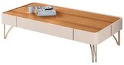 Mesa de Centro Para Sala Com Pés de Aço Alane H01 Off White/Cinamomo -