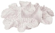 Escultura Coral  P