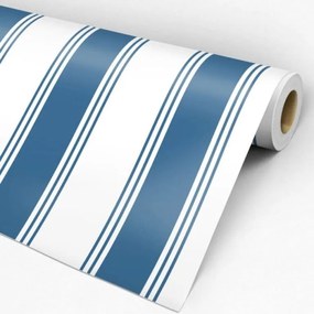 Papel de Parede listrado azul e branco