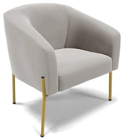 Poltrona Decorativa Pé de Ferro Dourado Stella Veludo D03 - D'Rossi - Cinza