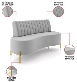 Sofá 2 Lugares Living 160cm Pé Ferro Dourado Maraú Veludo Cinza K01 - D'Rossi