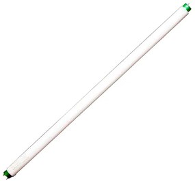 Lampada Fluorescente Tubular T8 G13 16w 4000k 60cm