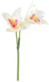Haste Orquídea Cattleya Toque Real Branco