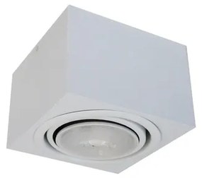 Plafon Sobrepor Aluminio Par30 20W 16Cm - BRANCO