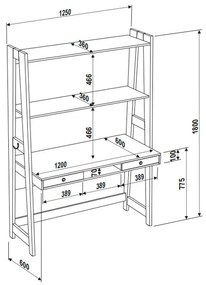 Escrivaninha Mesa Home Office Estante 2 Gavetas Trend