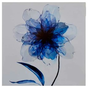 Quadro Decorativo Flor Azul e Branco - KF 50128 30x30 (Moldura 520)