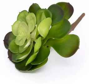 Suculenta Planta Artificial Verde 14x16 cm - D'Rossi