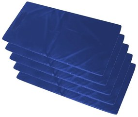 Kit 5 Colchonetes Para Ginástica, Academia 100 X 50 X 3 Cm (Azul)