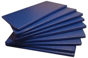 Kit 5 Colchonetes Gin�Stica, Academia E Yoga - 90 X 40 X 3 (Azul)