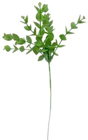 Mini Galho Eucalyptus Pick Wim - Casa Real