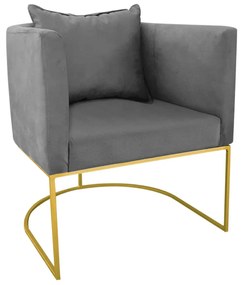 Poltrona Paola Suede Grafite Base Metálica Dourado - D'Rossi