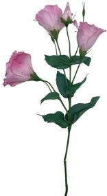 Lisianthus 54Cm Rs