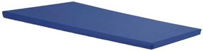 Colchonete Para Visita 180X60Cm D33 Dobrável Orthovida - Azul (Azul)