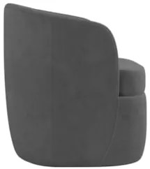 Kit 2 Poltronas Giratória Decorativa para Sala Dandara Z08 Veludo Cinz