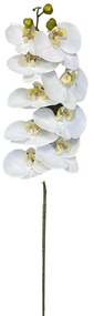 Galho Orquidea Branca 90Cm