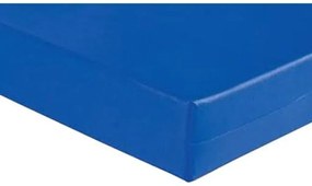 Colch�O D65 180X60X15Cm Muito Resistente - Orthovida D 65 (Azul)