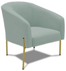 Poltrona Decorativa Pé de Ferro Dourado Stella Cotelê Ext/Veludo Menta D03 - D'Rossi