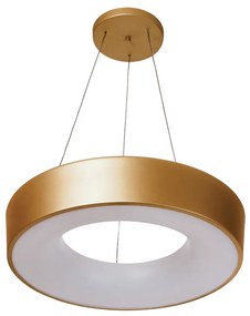 Pendente Dândi Ø44X09Cm Led 20,5W Bivolt / Redondo Base Vazada | Usina... (DR-V - Dourado Escovado, 4000k)