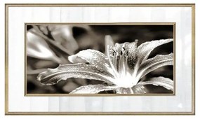 Quadro Decorativo Lírio Tons de Cinza 2 - FR 47688
