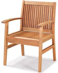 Cadeira Com Bracos Primavera Stain Jatoba - 34894 Sun House