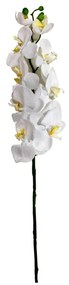 Flor Orquídea Phalaenopsis Artificial Branco 77 cm - D'Rossi