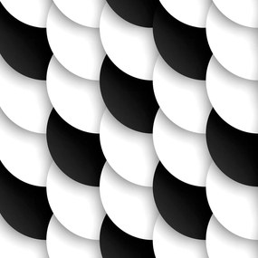 Papel de parede adesivo círculos preto e branco due