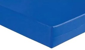 Colch�O D28 Solteir 88X12Cm Imperme�Vel Hospitalar Orthovida (Azul-marinho)