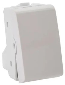 Modulo Interruptor Simples Termoplastico Branco 10a Decor